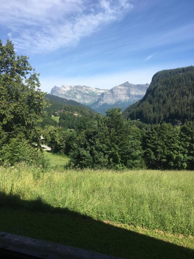 Vallee De Chamonix Au Pied Des Pistes Les Houches Kültér fotó
