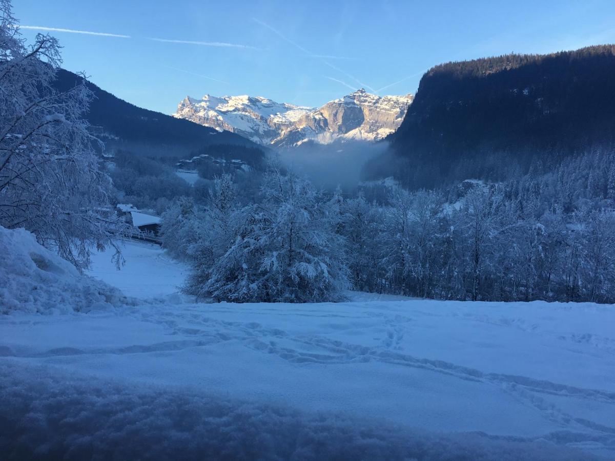 Vallee De Chamonix Au Pied Des Pistes Les Houches Kültér fotó
